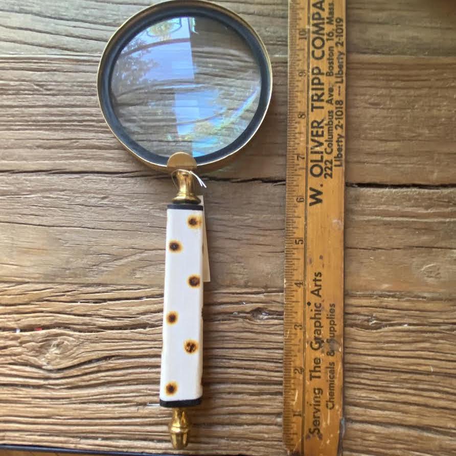 Bone Magnifying Glass