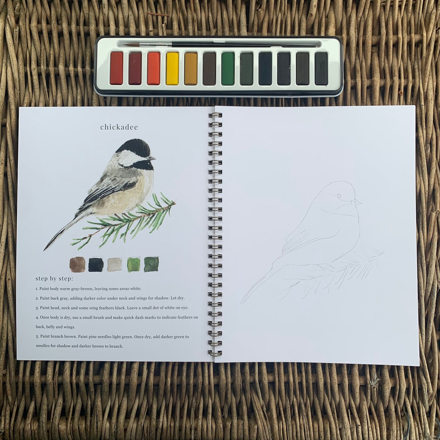 Birds Watercolor Workbook & Paint Set